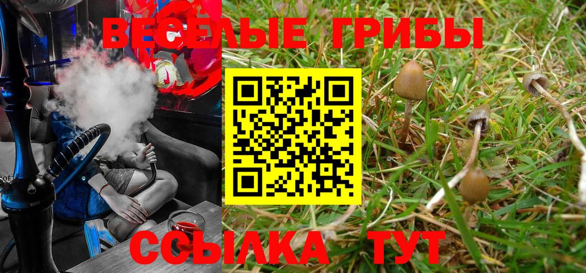 Галлюциногенные грибы MAGIC MUSHROOMS Ногинск