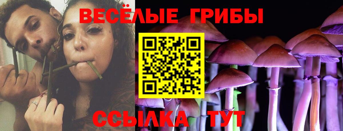 Псилоцибиновые грибы мицелий  наркота  Ногинск  Вход с VPN  Псилоцибиновые грибы мухоморы 